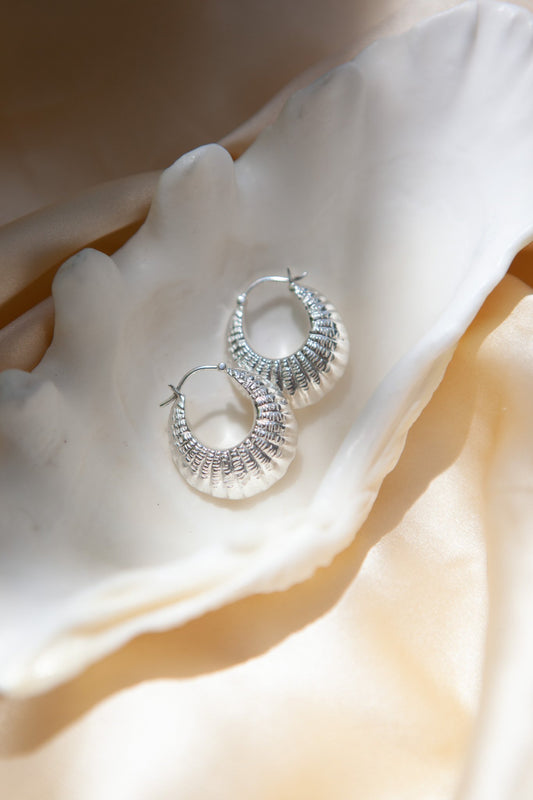 The French Shell Earrings