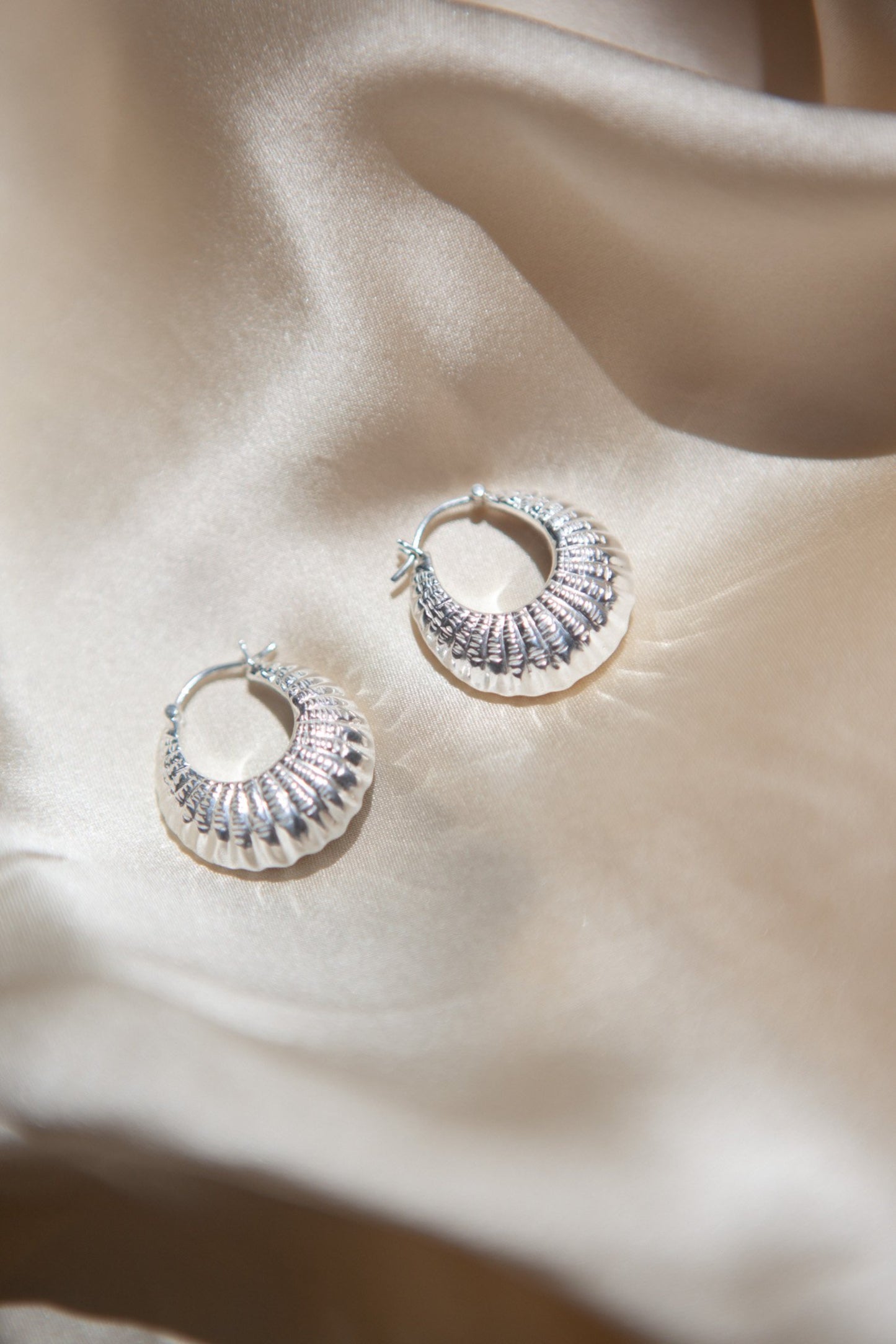 The French Shell Earrings